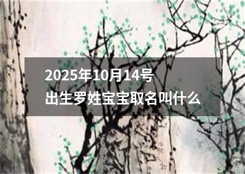 2025年10月14號出生羅姓寶寶取名叫什么